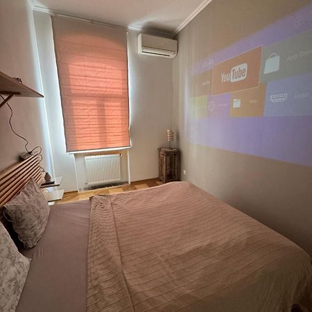 Light And Spacious Apartment On Gazova Str Lviv Kültér fotó
